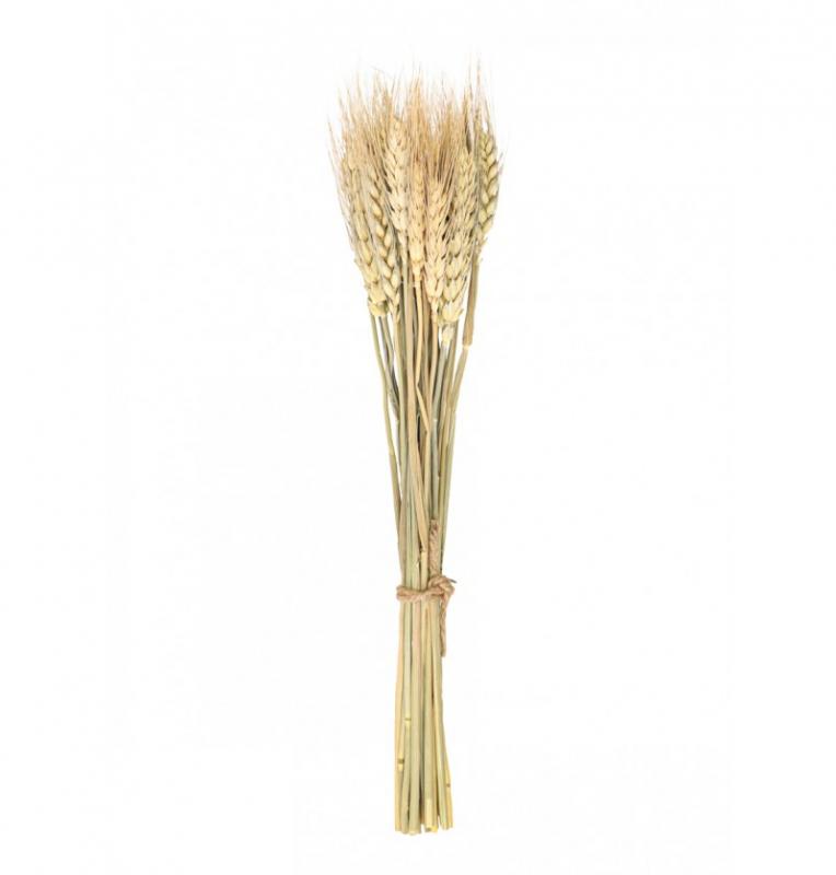Paris Dekorace Svazek klasů pšenice 24ks, 35 cm